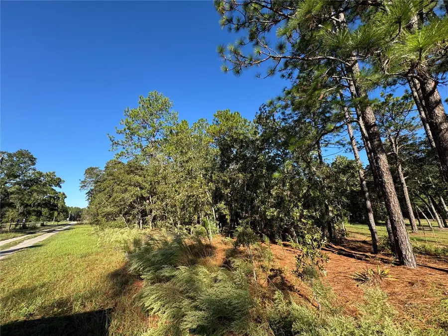 12351 SW 67th Lane, Ocala, FL 34481 - Image #2