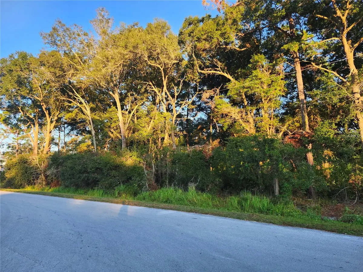 Cedar Trace, Ocala, FL 34472 - Image #1