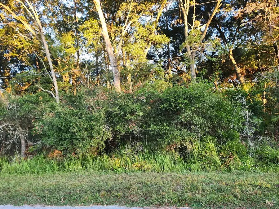 Cedar Trace, Ocala, FL 34472 - Image #2