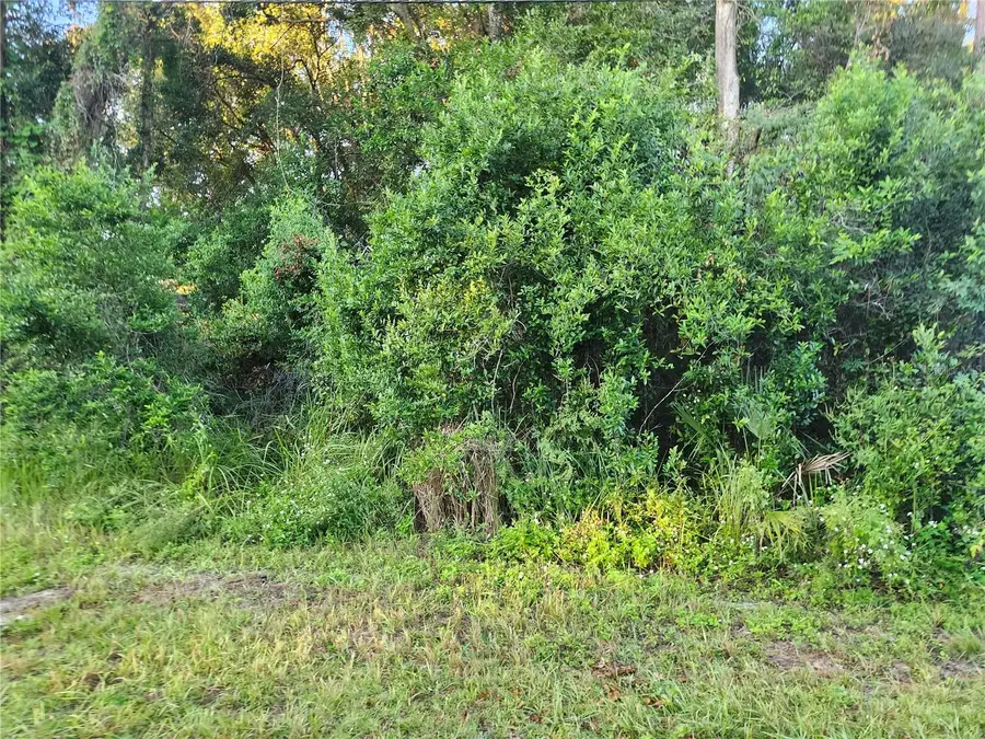 90 Cedar Rd, Ocala, FL 34472 - Image #2