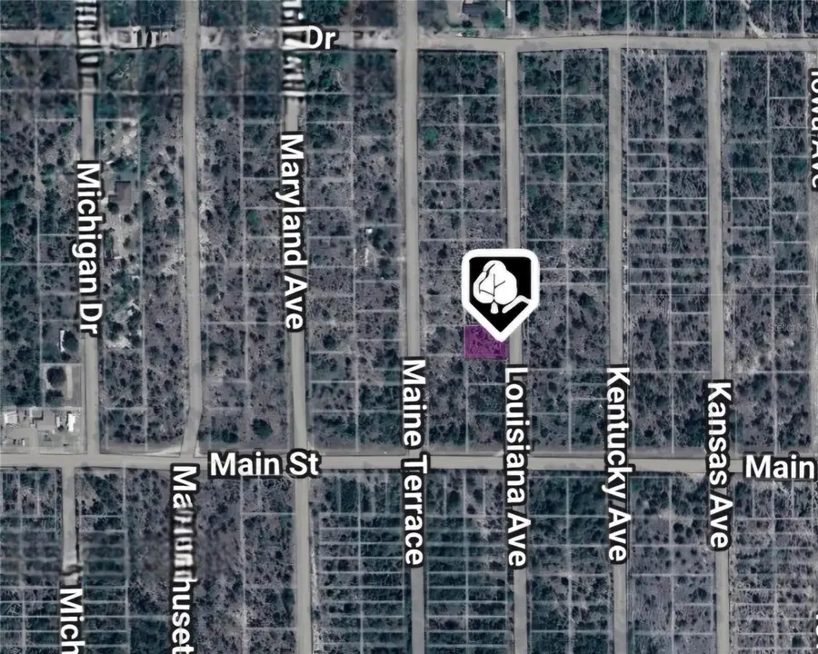 LOT 19 AND 20 Louisiana Avenue, Hawthorne, FL 32640 - Image #2