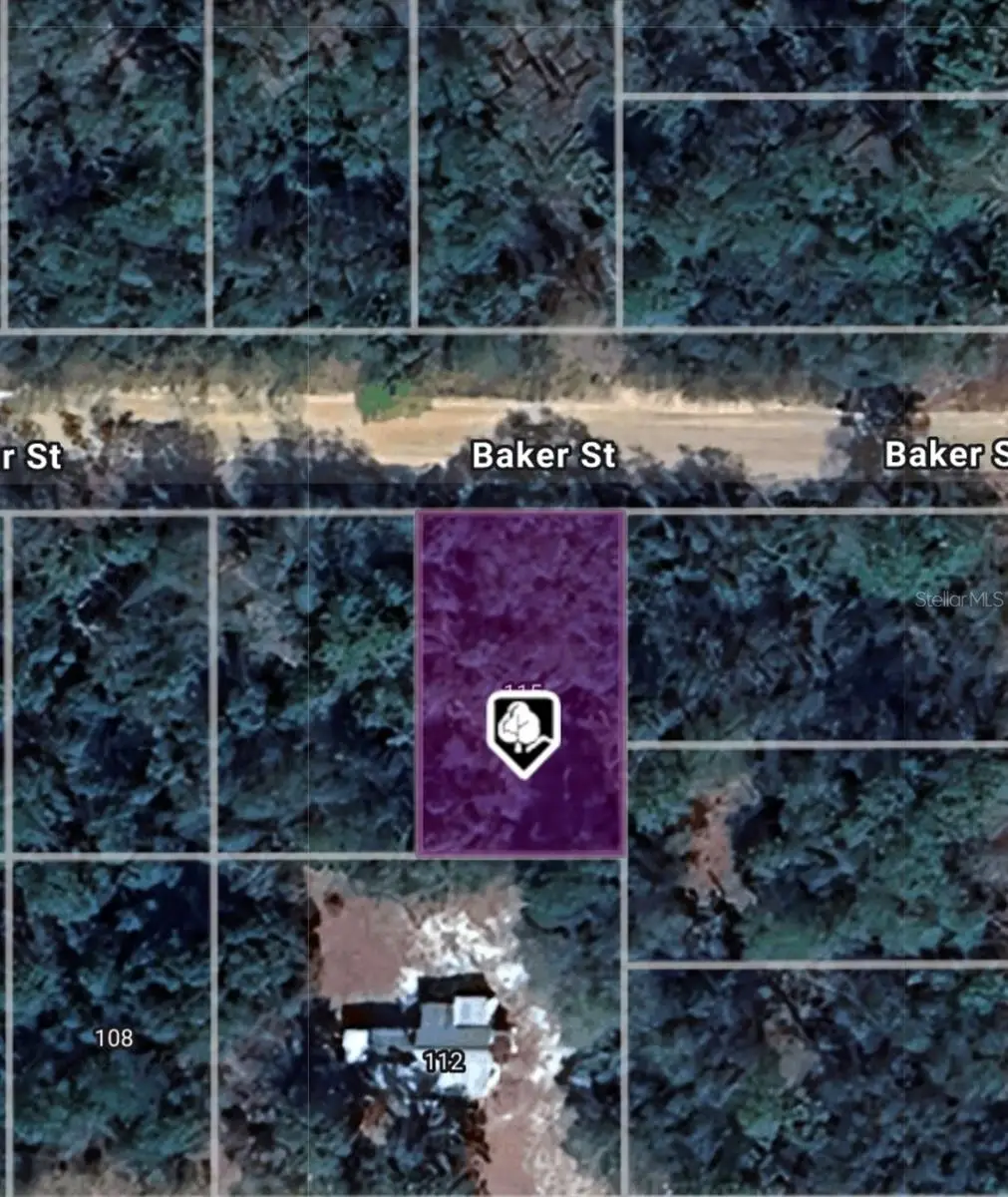 LOT 8 Baker Street, Interlachen, FL 32148 - Image #1