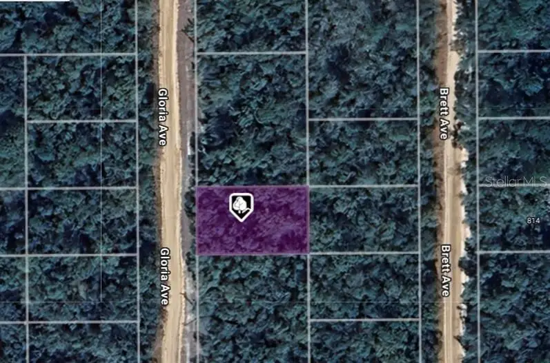 LOT 8 Gloria Avenue, Interlachen, FL 32148 - Image #1