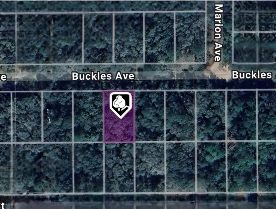 LOT 8 Buckles Avenue, Interlachen, FL 32148 - Image #2