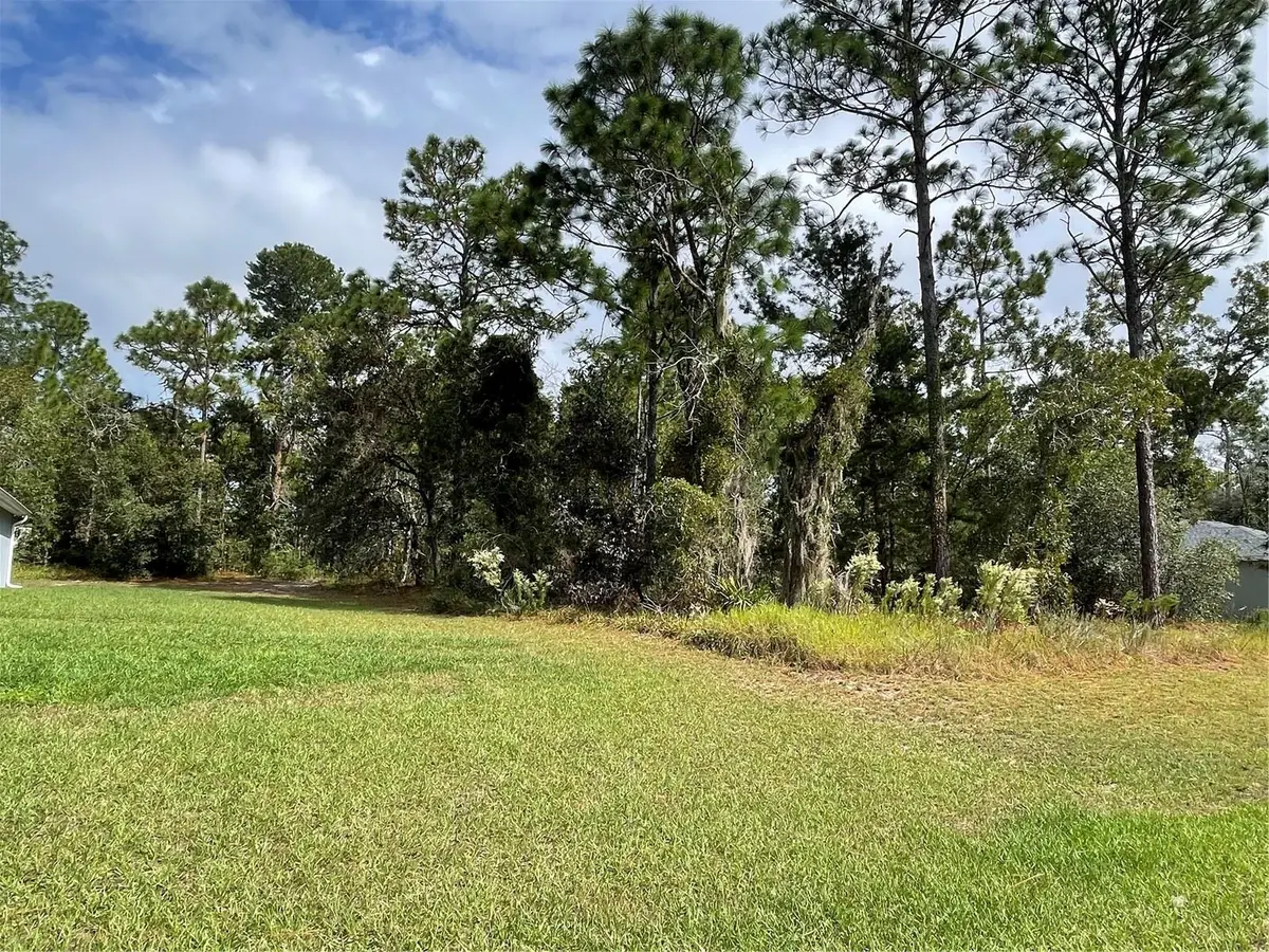 0 SW 131st Lane, Ocala, FL 34473 - Image #1