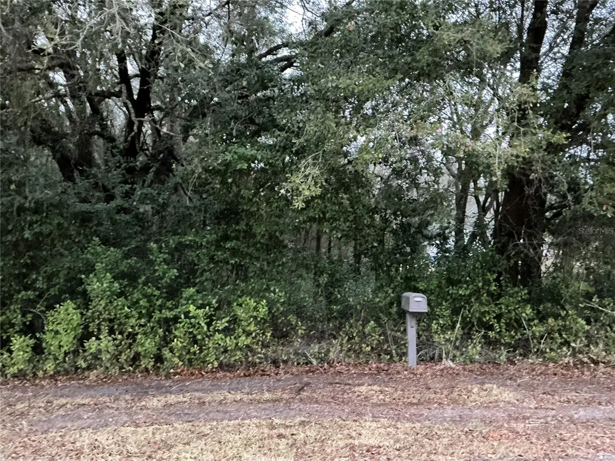 0 SE 143rd Place, Summerfield, FL 34491 - #1