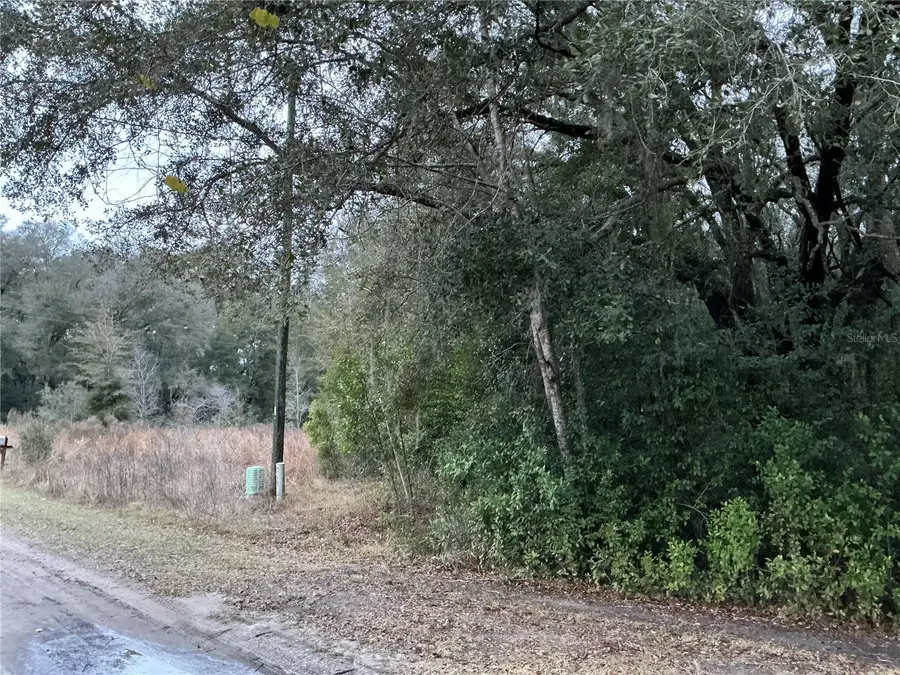 0 SE 143rd Place, Summerfield, FL 34491 - #2