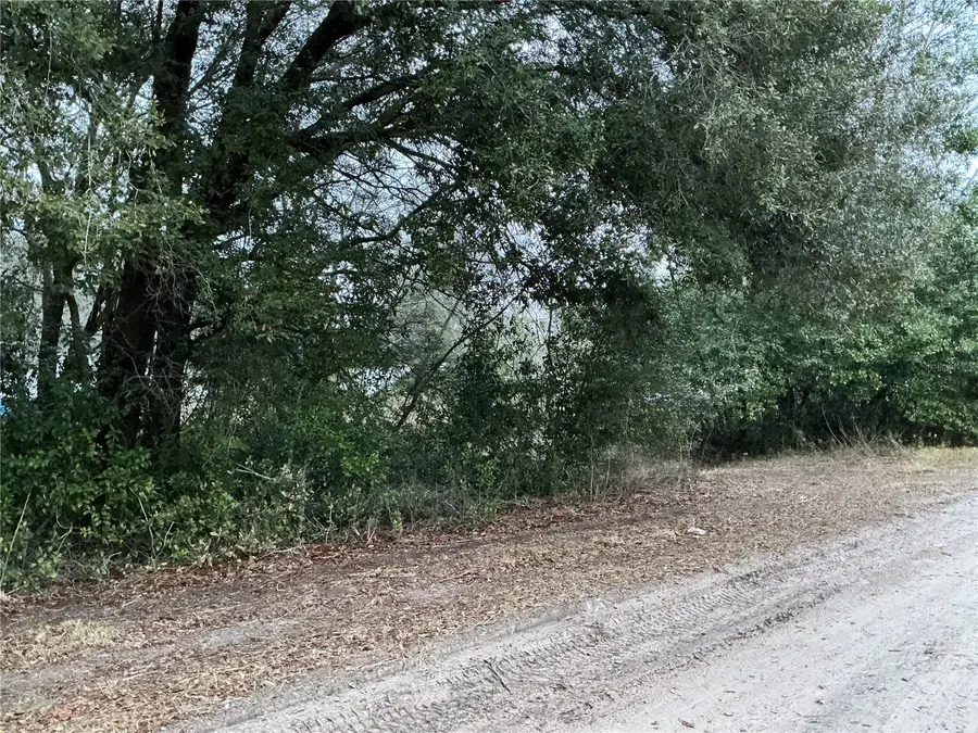 0 SE 143rd Place, Summerfield, FL 34491 - #3