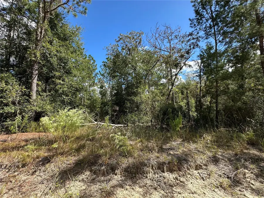 TBD NE 138th Avenue, Williston, FL 32696 - Image #3