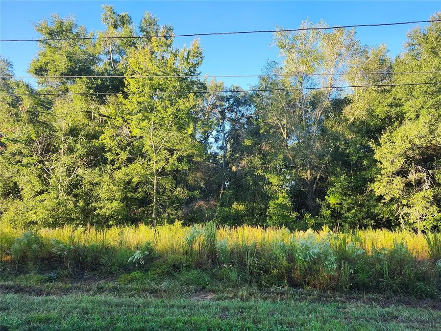 TBD Williow Road, Ocala, FL 34472 - Image #2