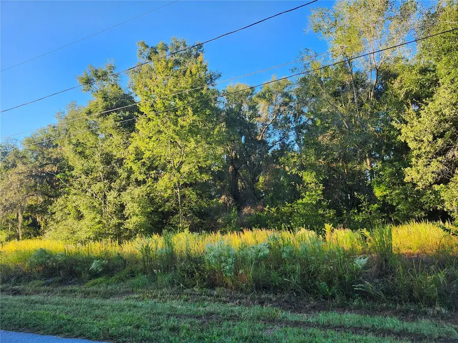 TBD Williow Road, Ocala, FL 34472 - Image #3