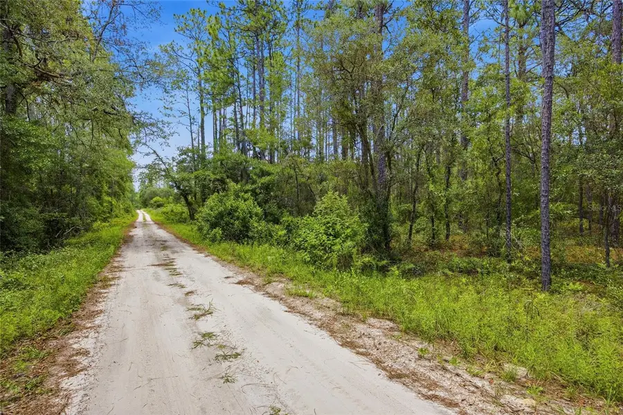 Lot 02 SW 175th Terrace, Dunnellon, FL 34432 - #3