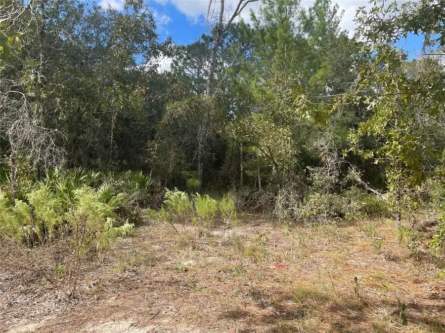 5611 W Rochelle Street, Homosassa, FL 34448 - Image #2