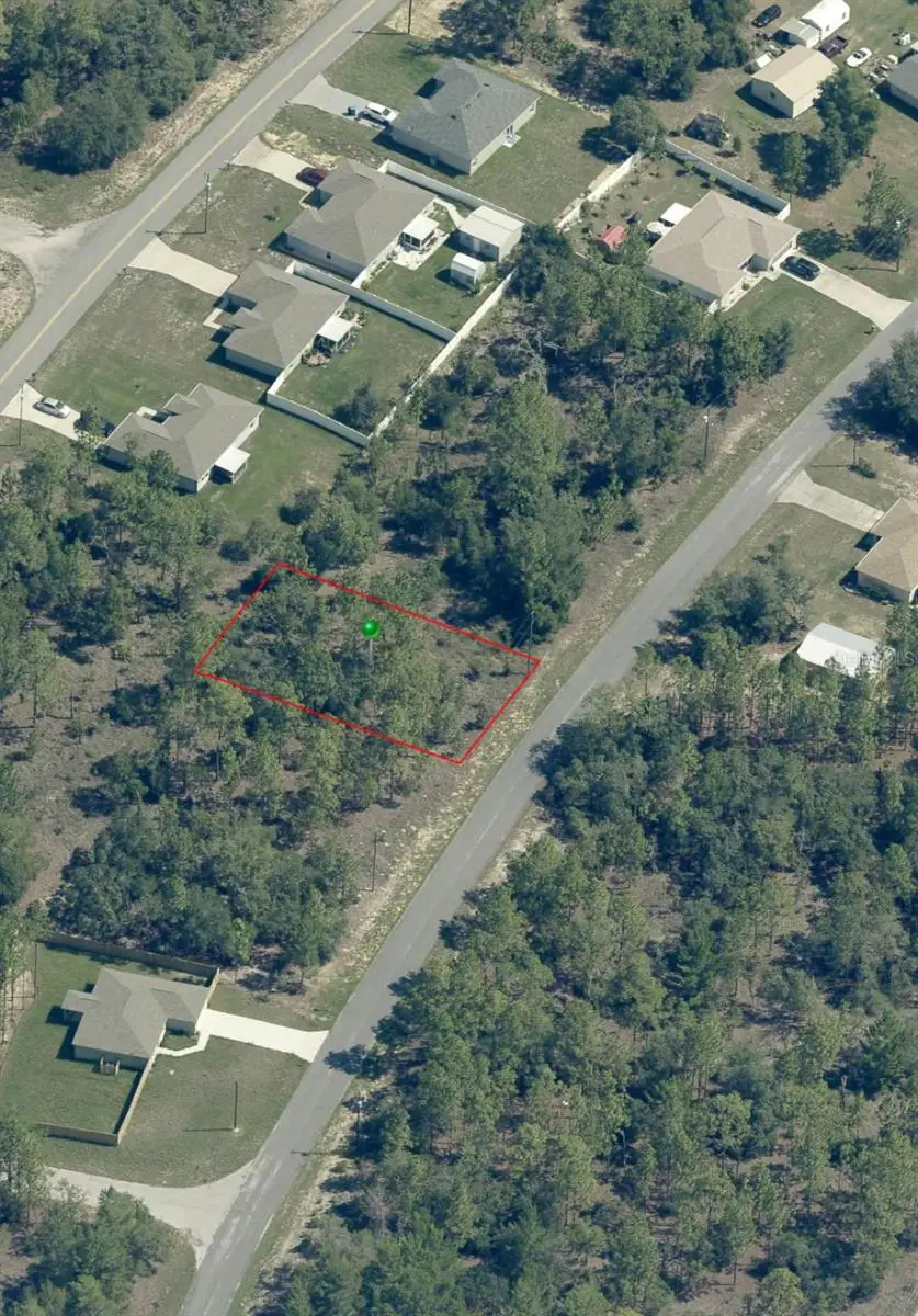 10235 N Spaulding Drive, Citrus Springs, FL 34433 - Image #2