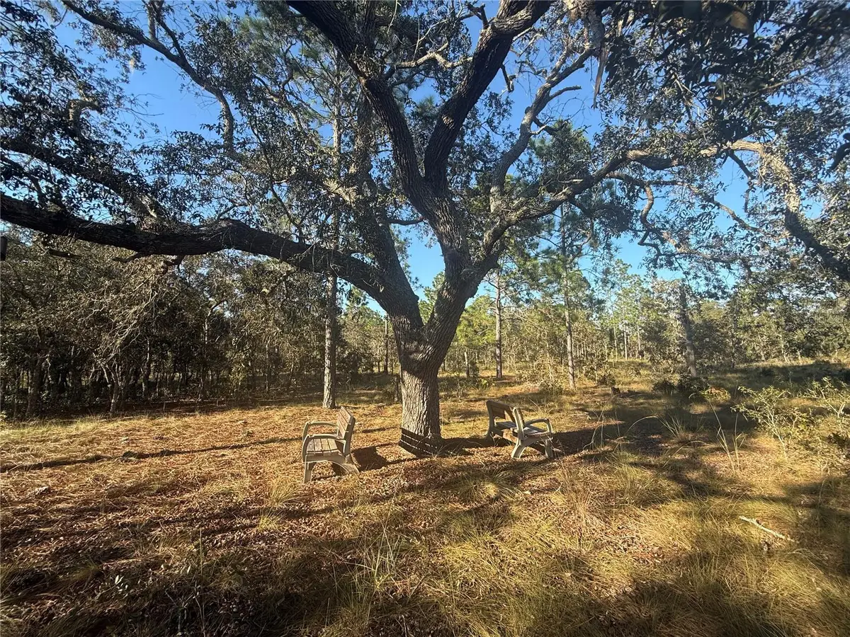 00 SE 73rd Lane, Morriston, FL 32668 - Image #1