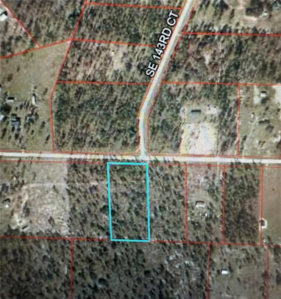 00 SE 73rd Lane, Morriston, FL 32668 - Image #2