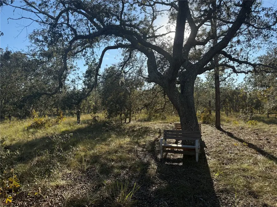 00 SE 73rd Lane, Morriston, FL 32668 - Image #3