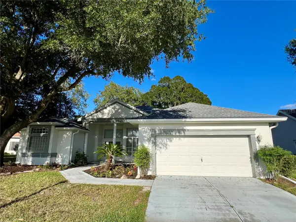 11159 SW 71st Terrace Road, OCALA, FL 34476