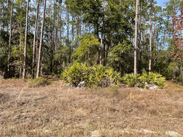 LOT 23 SW Tiger Lake Boulevard W, DUNNELLON, FL 34431