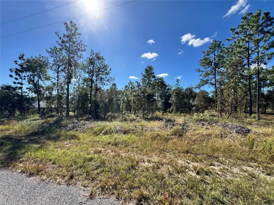 TBD NW Luna Avenue, Dunnellon, FL 34431 - Image #2