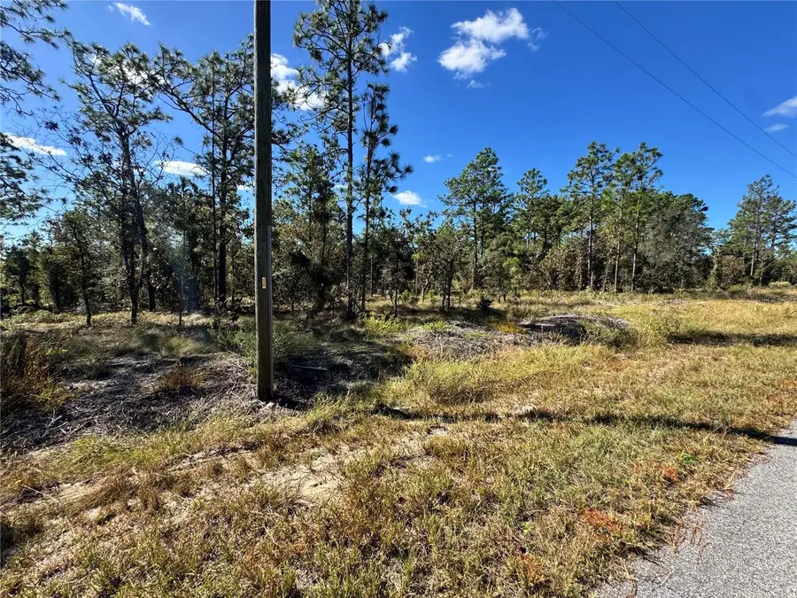 TBD NW Luna Avenue, Dunnellon, FL 34431 - Image #3