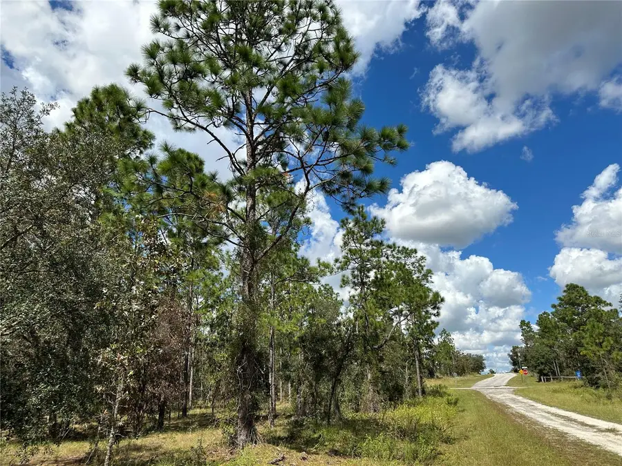 TBD SE 134th Court, Dunnellon, FL 34431 - Image #2