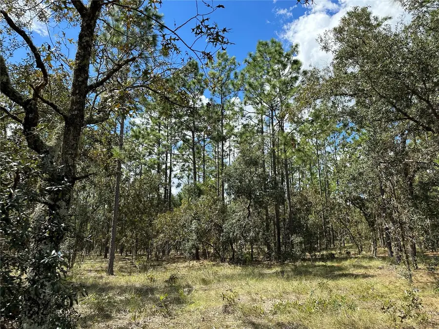 TBD SE 134th Court, Dunnellon, FL 34431 - Image #3