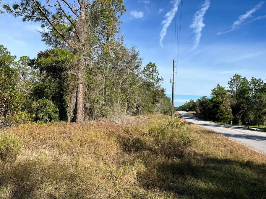 00 SW Breezy Point Drive, Dunnellon, FL 34431 - Image #3