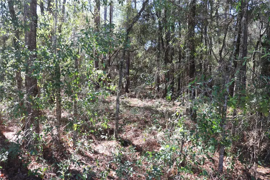 00 SW 39 Street, Dunnellon, FL 34432 - Image #3