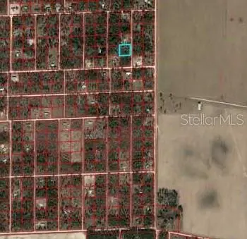 00 NE 129th Avenue, WILLISTON, FL 32696