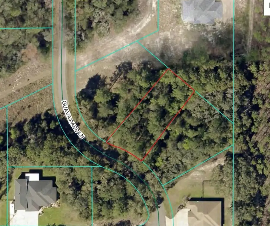 19 Guava Pass Lane, Ocklawaha, FL 32179 - Image #3