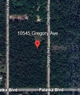10545 Gregory Avenue, Hastings, FL 32145 - Image #2