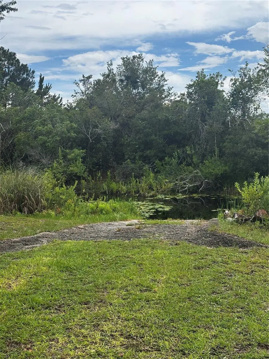 15080 NE 242nd Avenue, Salt Springs, FL 32134 - Image #3