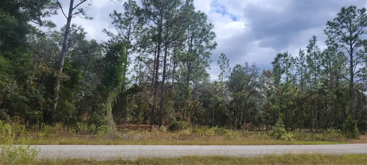 0 SW Arrow Leaf Trail, Dunnellon, FL 34431 - Image #1