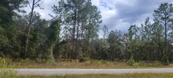 0 SW Arrow Leaf Trail, DUNNELLON, FL 34431
