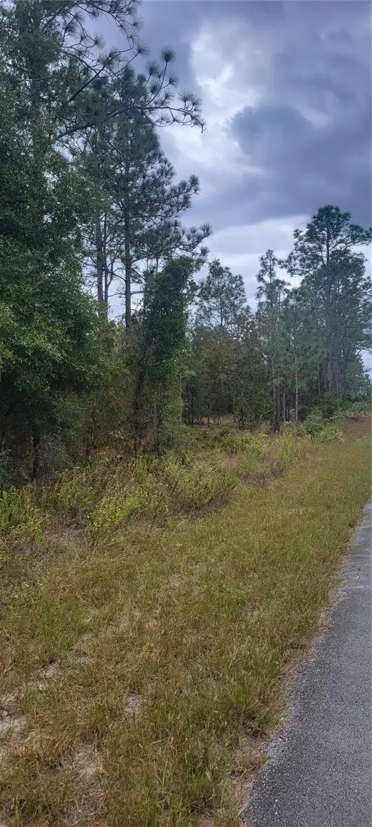 0 SW Arrow Leaf Trail, Dunnellon, FL 34431 - Image #2
