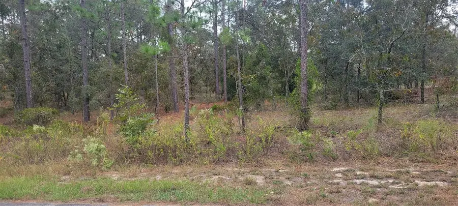 0 SW Arrow Leaf Trail, Dunnellon, FL 34431 - Image #3