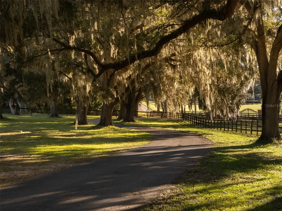 13010 NW 90th Avenue, Reddick, FL 32686 - Image #3