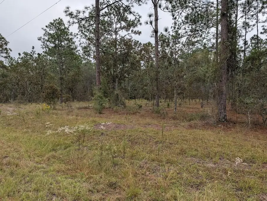 lot 13 NW Geranium Avenue, Dunnellon, FL 34431 - Image #2
