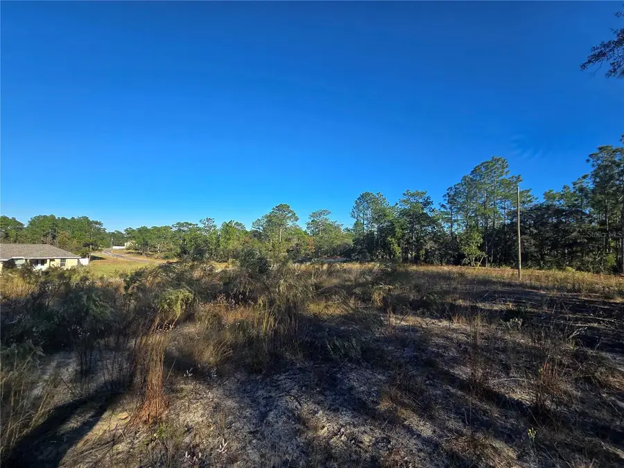 9388 N Old Mill Way, Citrus Springs, FL 34433 - Image #2