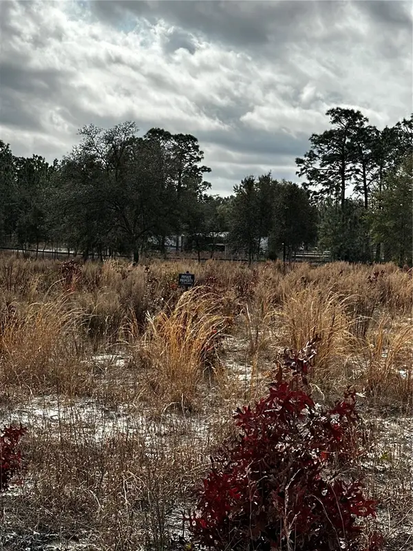 TBA SW 93rd Place, DUNNELLON, FL 34432