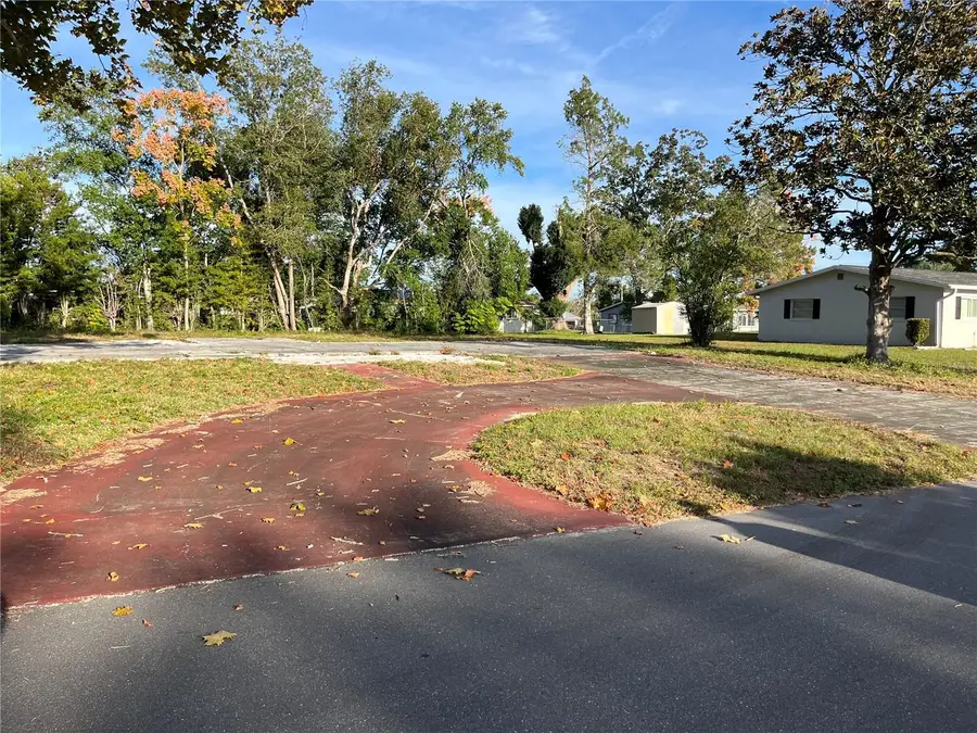 98 S Desoto Street, Beverly Hills, FL 34465 - Image #3