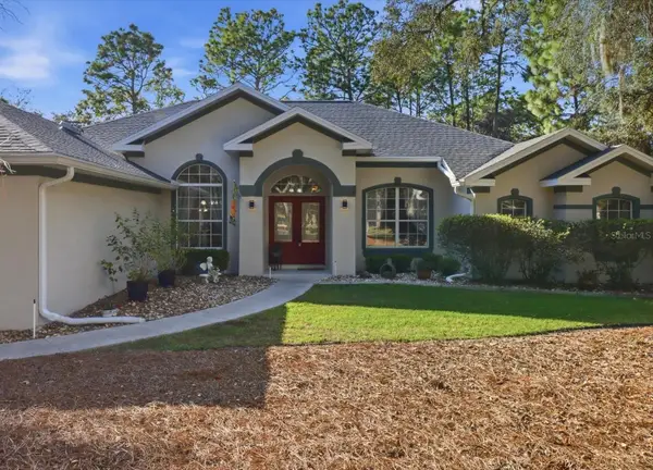 4488 N Capistrano Loop, BEVERLY HILLS, FL 34465