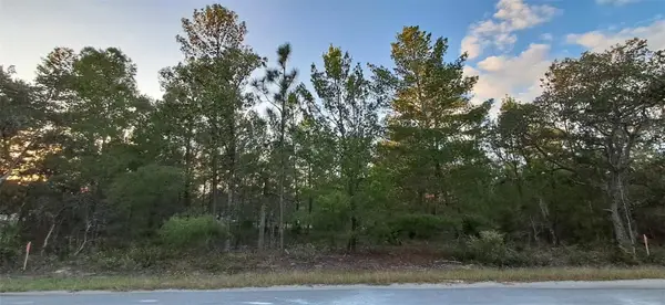 0 Fisher Course #9, OCKLAWAHA, FL 32179