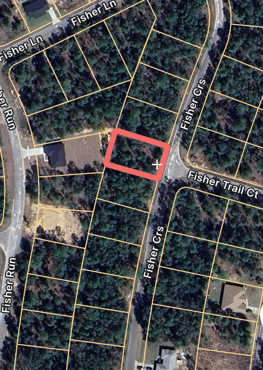 0 Fisher Course #9, Ocklawaha, FL 32179 - Image #2