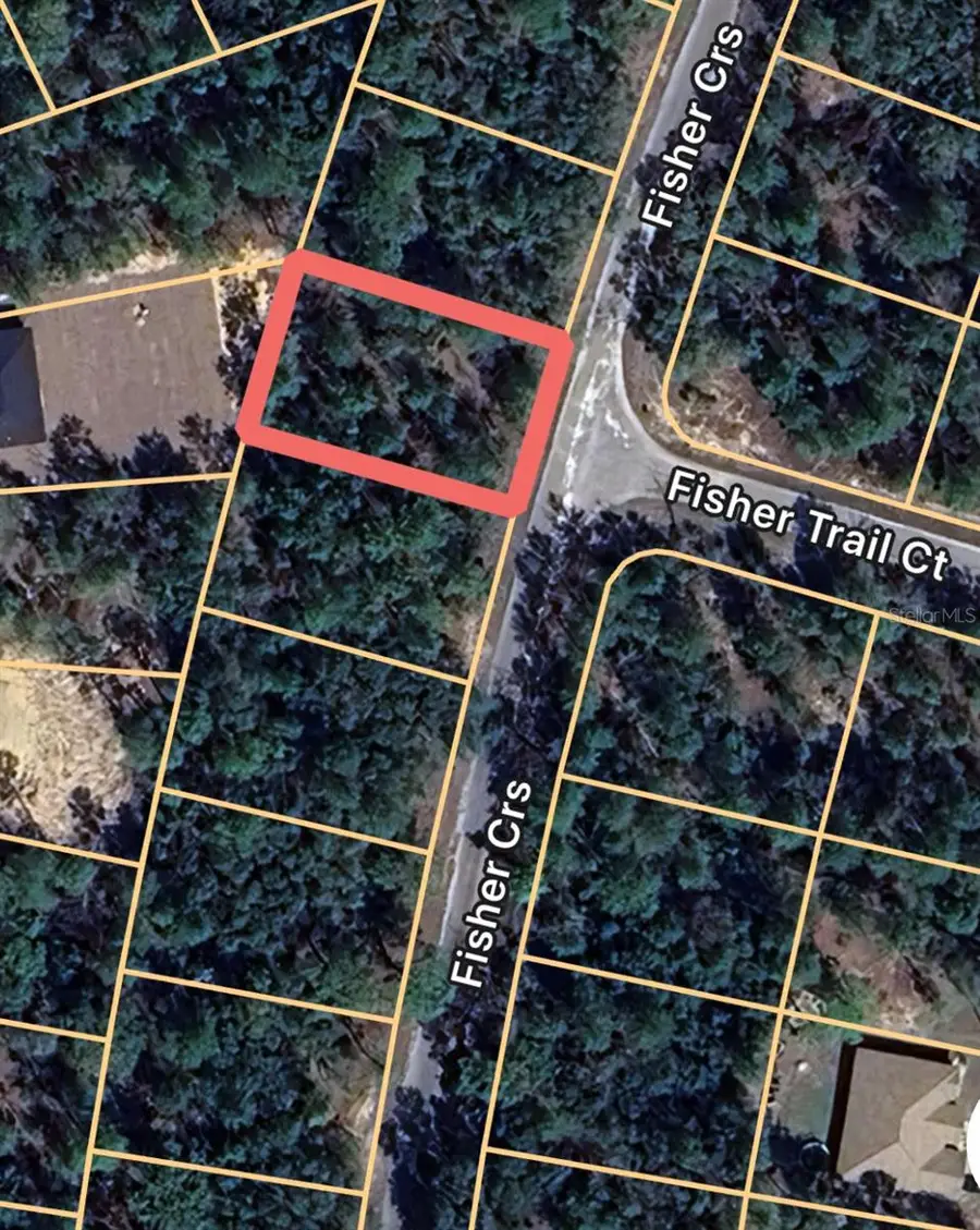 0 Fisher Course #9, Ocklawaha, FL 32179 - Image #3