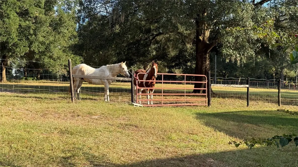 41030 Oak Grove Road, Weirsdale, FL 32195 - #1