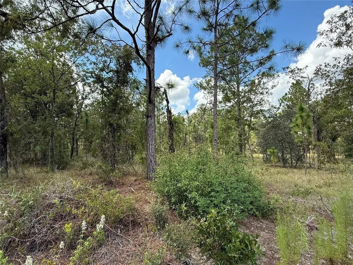 Deer Park Heights Sw, Dunnellon, FL 34431 - Image #1