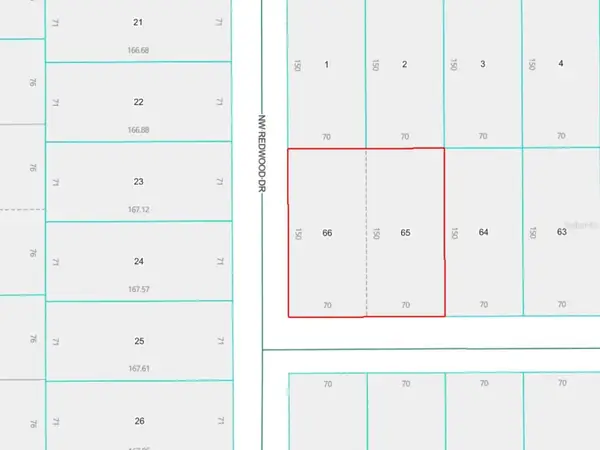 LOTS 65 & 66 NW Banyan Lane, DUNNELLON, FL 34431
