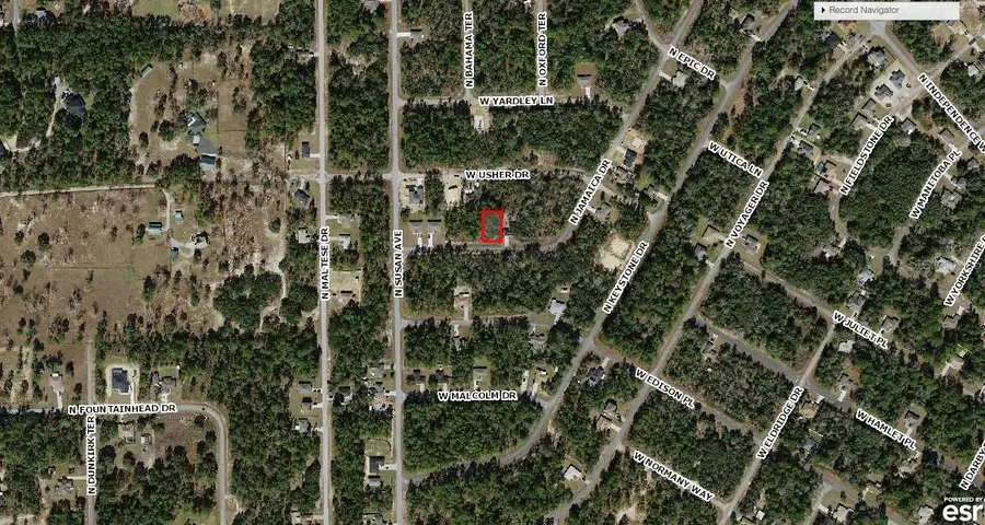 7830 N Jamaica Drive, Citrus Springs, FL 34434 - Image #3